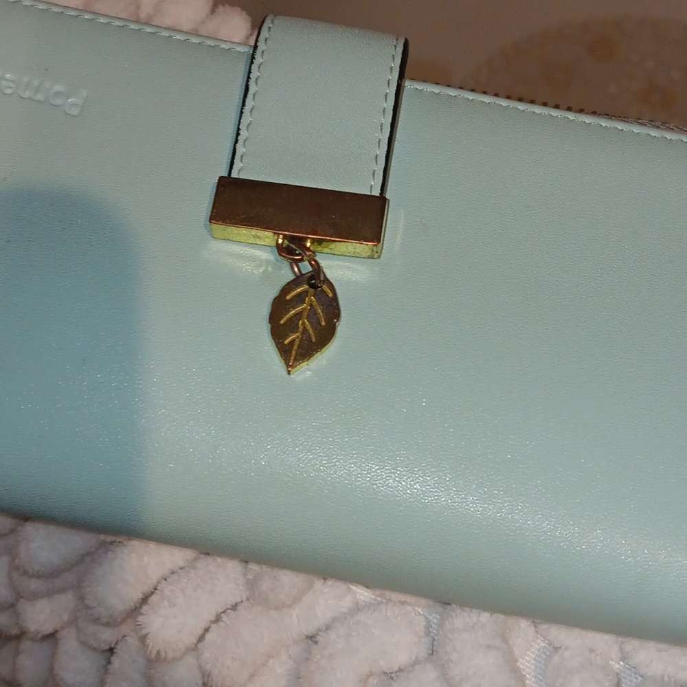 Pastel bluish green Minimalist Wallet with Gold Clasp and Smooth Texture